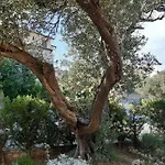 By The Sea - Donja, Rab - 15983 Apartmán