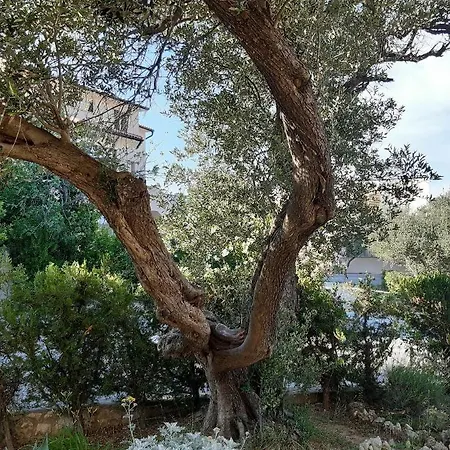 By The Sea - Donja, Rab - 15983 Apartment