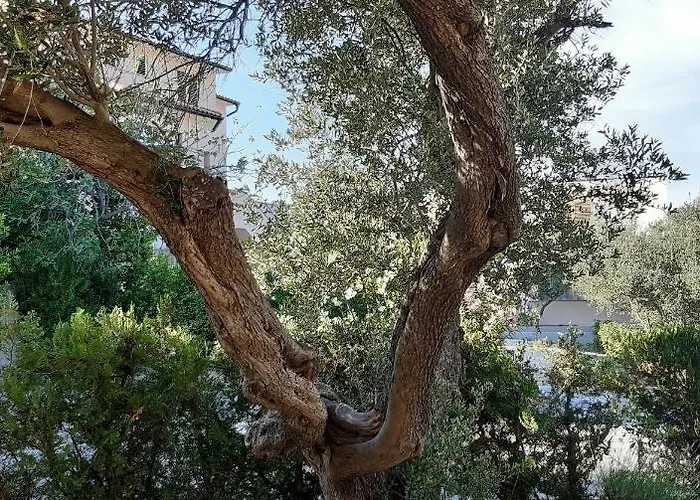 By The Sea - Donja, Rab - 15983 Lägenhet